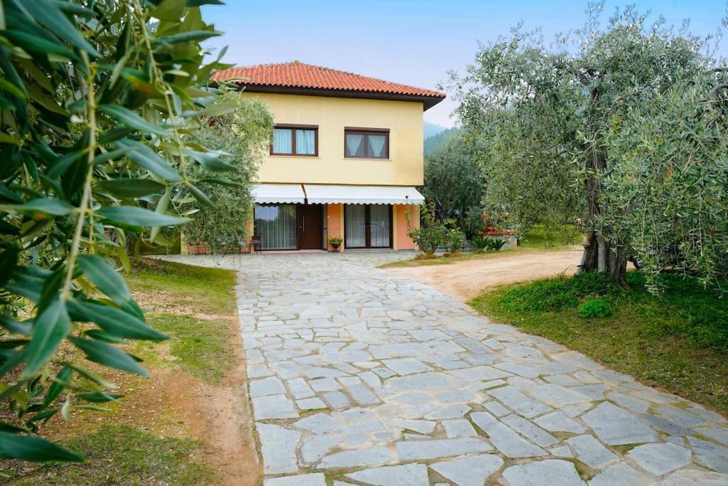 Vila Olive'S House Skala Rachoni  Exteriér fotografie